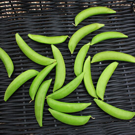 Little SnapPea Crunch, Pea Seeds